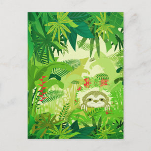 Postal Perezoso de la selva Peek a Boo