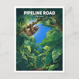 Postal Perezoso en Pipeline Road Selva Lluviosa Gamboa Pa