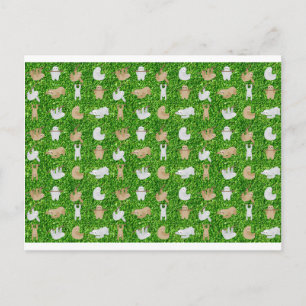 Postal perezosos divertidos