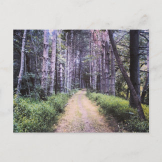 Postal Perfección natural