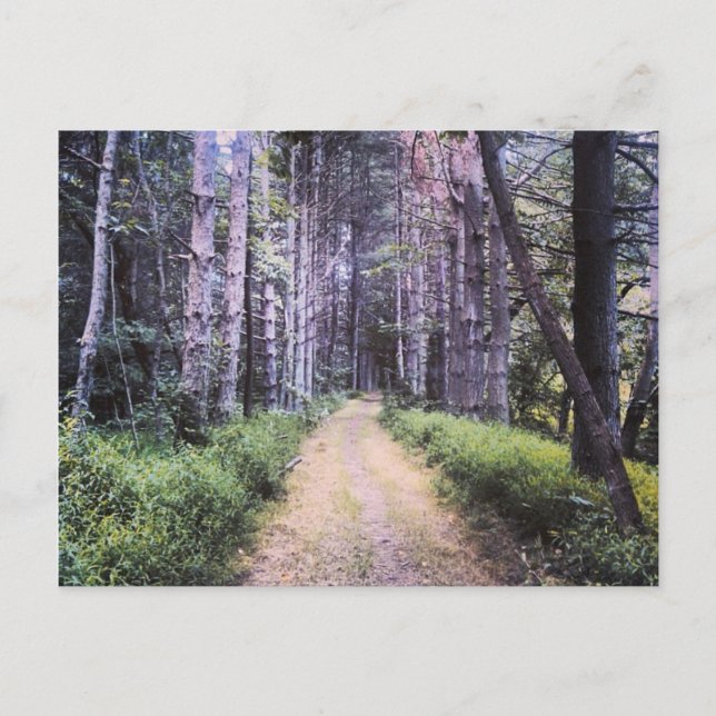 Postal Perfección natural (Anverso)