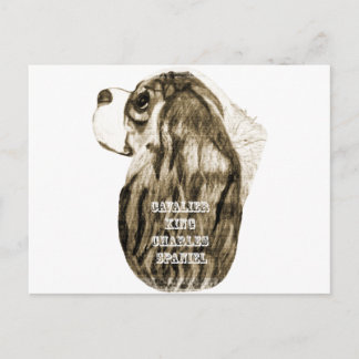 Postal Perfil de Antigüedades del Rey Cavalier Charles Sp