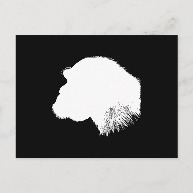 Postal Perfil de chimpancé blanco (Anverso)