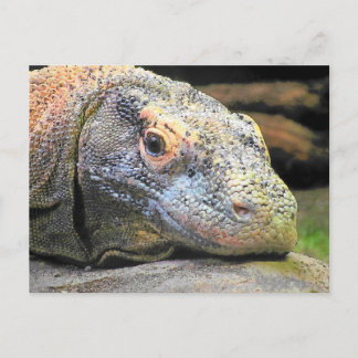 Postal Perfil de cierre de Komodo Dragon