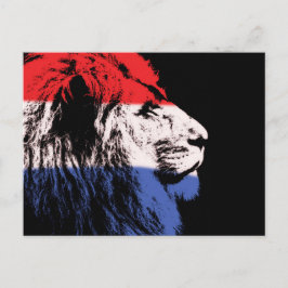 Postal Perfil de león durmiente