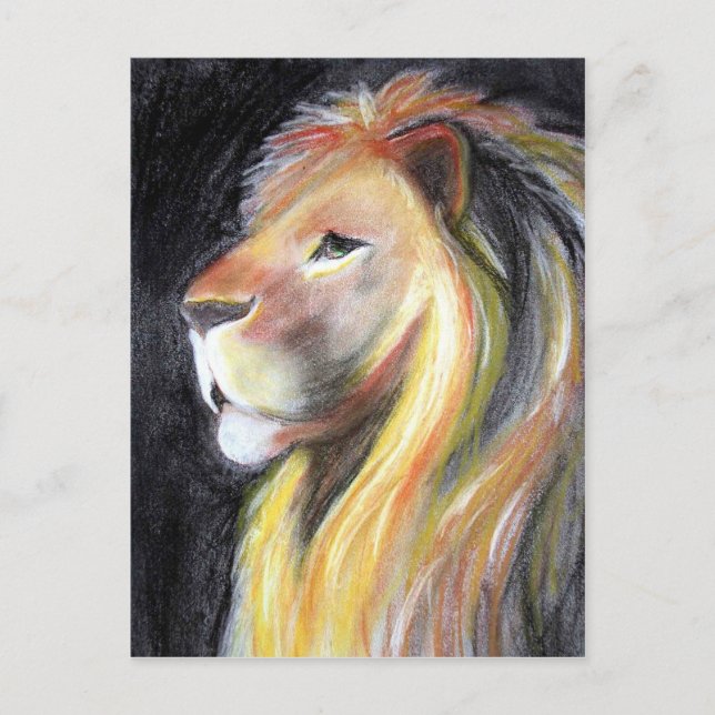 Postal Perfil de León León León Retrato Carbón Dibujo (Anverso)