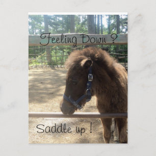 Postal perfil de poni