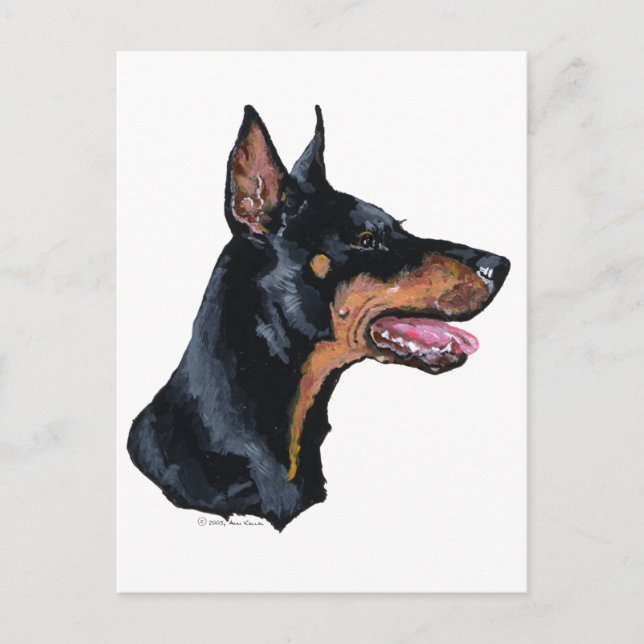Postal Perfil del Doberman Pinscher (Anverso)