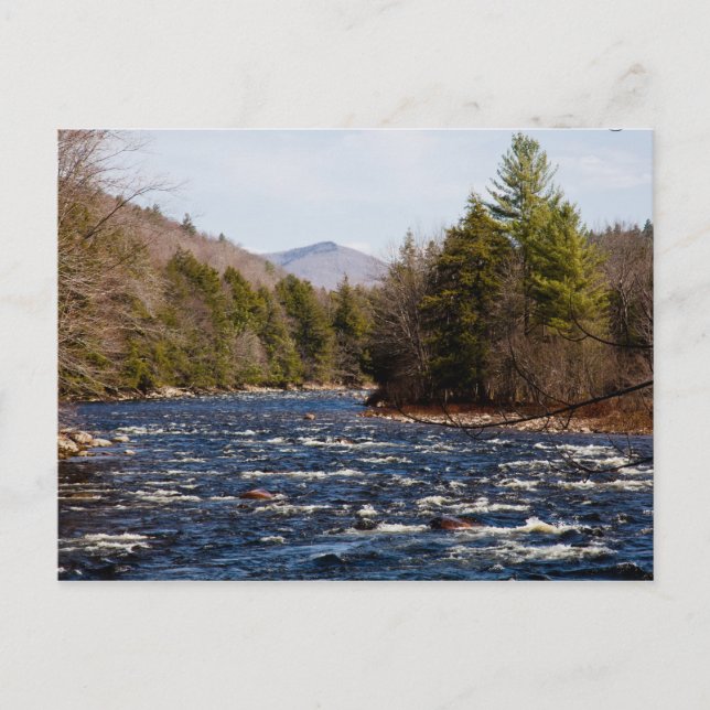 Postal perforador de bobo (Anverso)