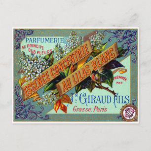 Postal Perfume Lilac blanco francés de 1915