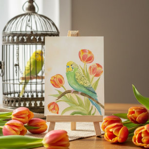 Postal Periquito con Tulipanes