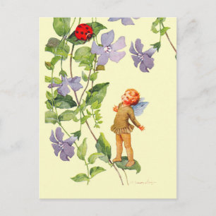 Postal Periwinkle Elf y Ladybug