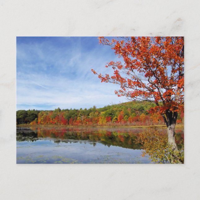 Postal Perkins Pond Autumn Scene (Anverso)