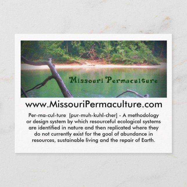 Postal permaculada de Missouri (Anverso)