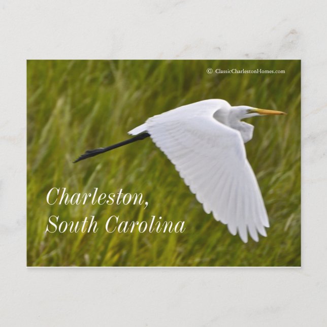 Postal Perón de Charleston (Anverso)