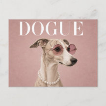 Perra Whippet Rosa Covergirl