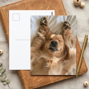 Postal Perrito Golden Retriever Lindo Patas Durmiendo