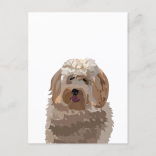 Postal Perrito Labradoodle Adorable