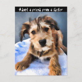 Postal Perrito mullido 3855