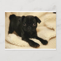 Perrito negro del barro amasado