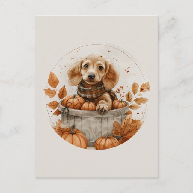 Postal Perritos Dachshund de Otoño Calabaza (Anverso)