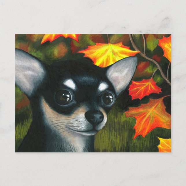 Postal Perro 101 negro Chihuahua (Anverso)