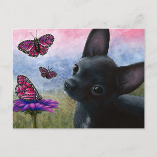 Postal Perro 91 Chihuahua