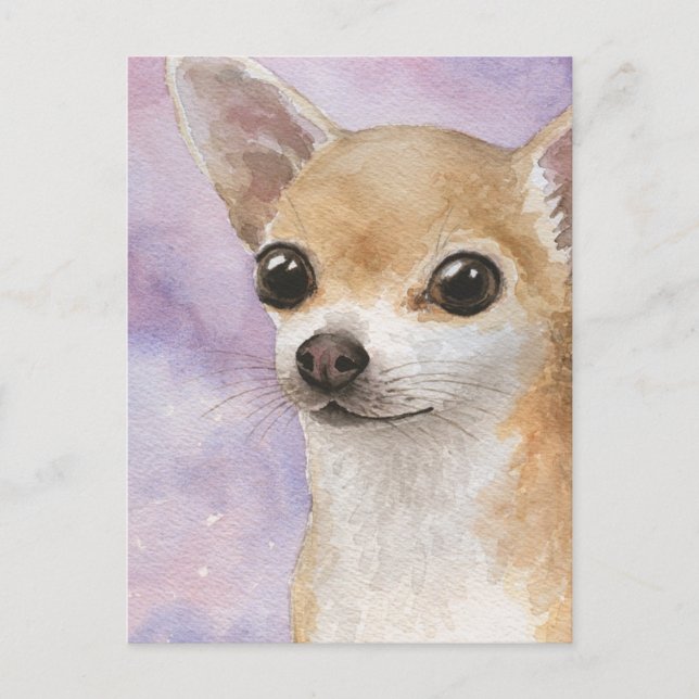 Postal Perro 95 Chihuahua (Anverso)