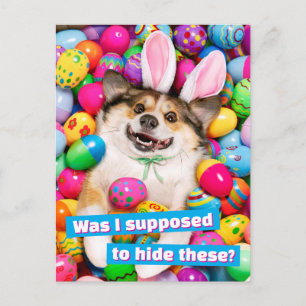 Postal Perro acostado sobre huevos de Pascua