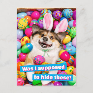 Postal Perro acostado sobre huevos de Pascua