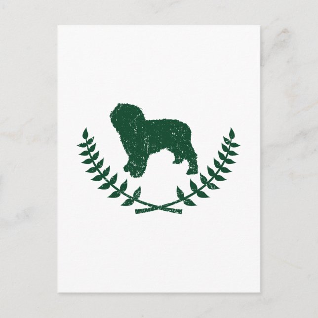 Postal Perro acuático español (Anverso)