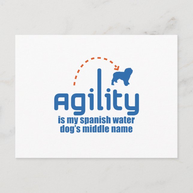Postal Perro acuático español (Anverso)