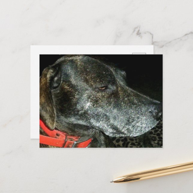 Postal Perro Adorable (Anverso/Reverso In Situ)