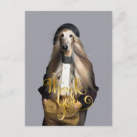 Perro afgano rubio con pelo en pantalones Gracias