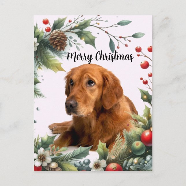 Postal Perro Amante De La Navidad Golden Retriever  (Anverso)