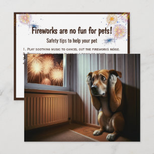 Postal Perro Asustado Mirando Fuegos Artificiales