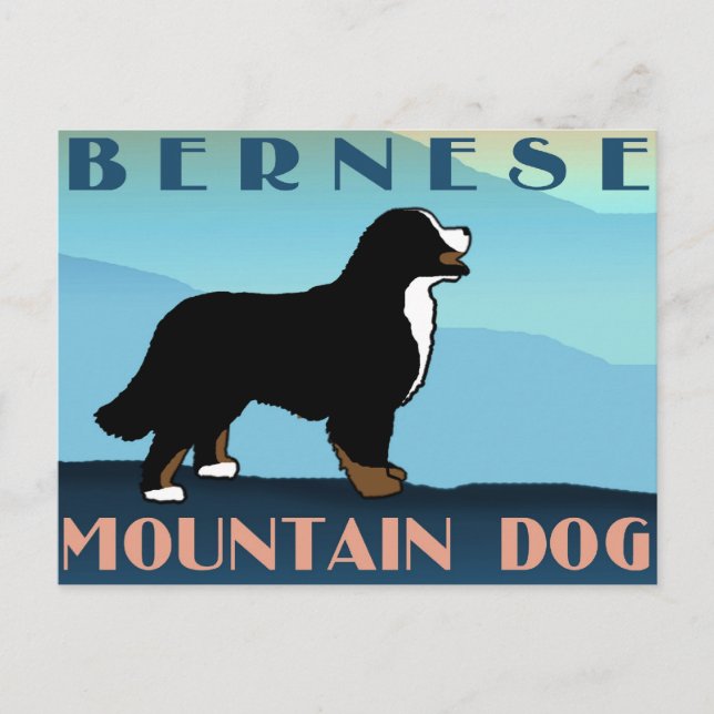 Postal Perro Bernese de montaña azul (Anverso)