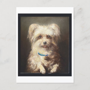 Postal Perro blanco con cosecha de collares azules