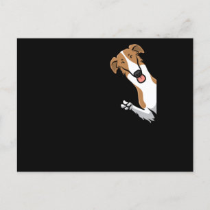 Postal Perro Borzoi