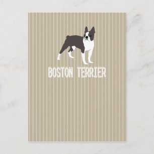 Postal perro-Boston Terrier