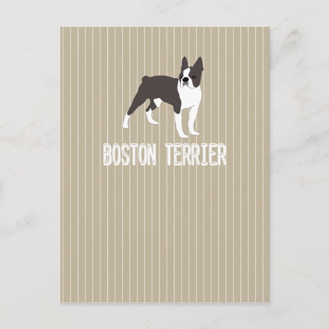 Postal perro-Boston Terrier (Anverso)