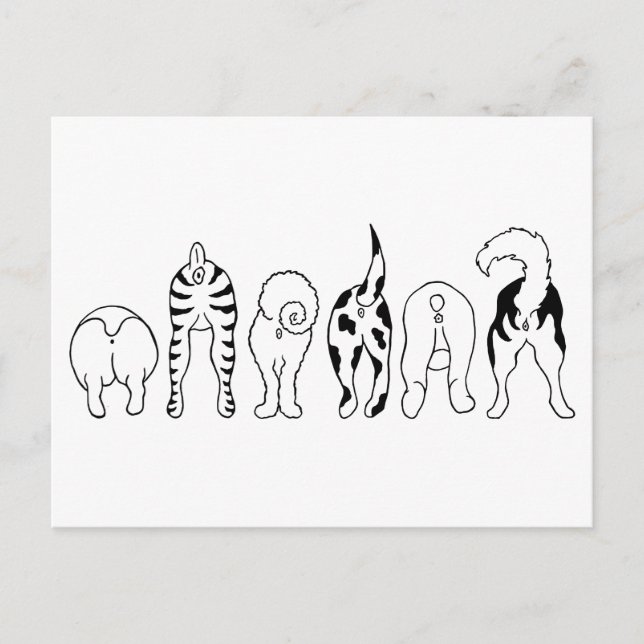 Postal Perro Butts (Anverso)