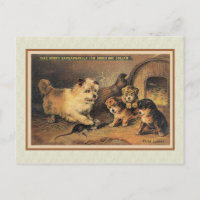 Perro Cairn Terrier y sus cachorros