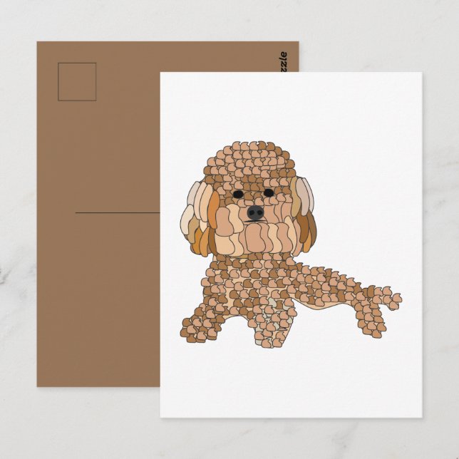 Postal Perro Caniche (Anverso / Reverso)