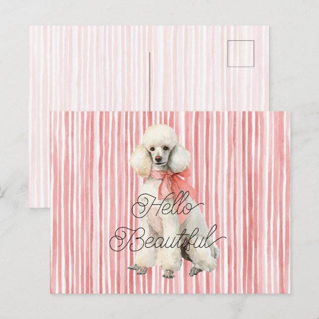 Postal Perro Caniche Blanco Hola Hermoso (Anverso / Reverso)