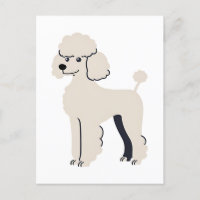 Perro Caniche Pintado Lindo