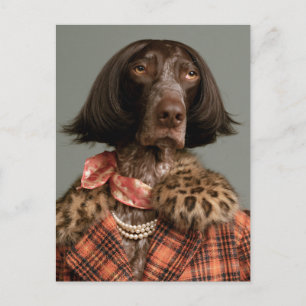 Postal Perro Chic Fashionista en Cuadro Vintage