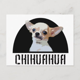 Postal Perro Chihuahua