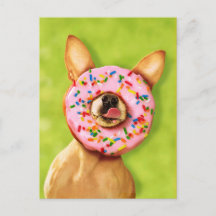 Perro chihuahua gracioso con donut rociado en la n