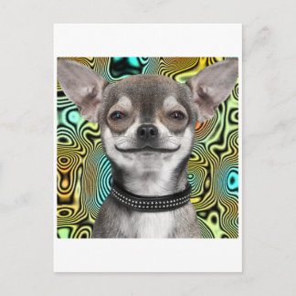 Postal Perro chihuahua sonriente